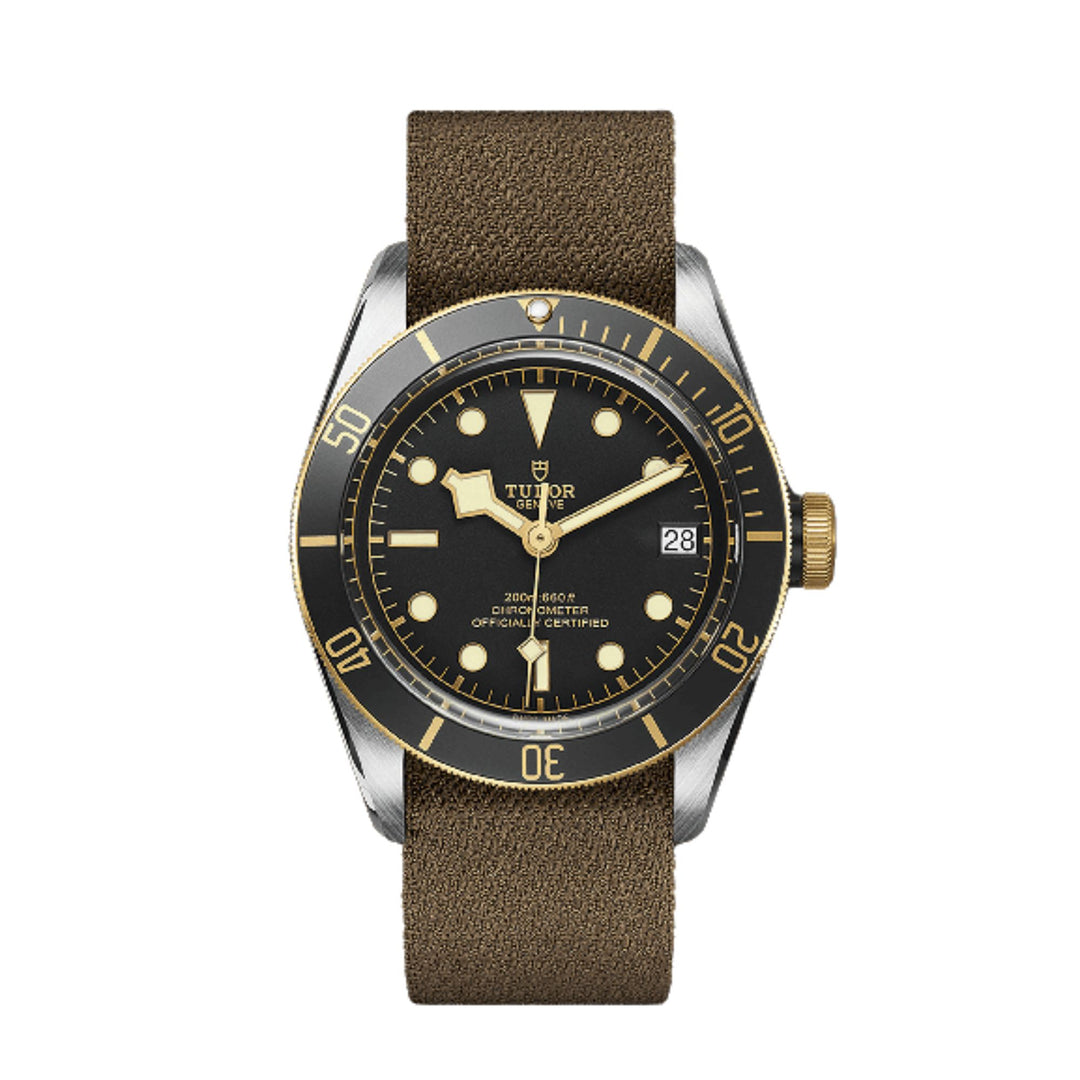 Relógio Tudor BLACK BAY S&G - M79733N-0005 - 41mm