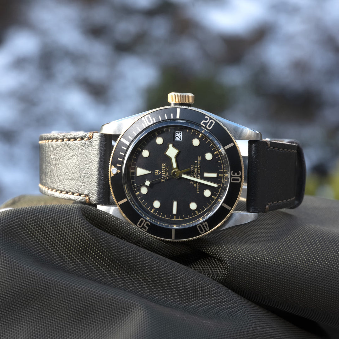 Relógio Tudor BLACK BAY S&G - M79733N-0007 - 41mm